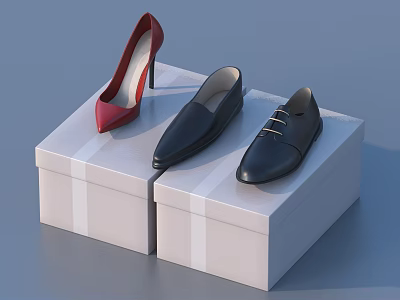 Stylish Red High Heels And Black Lace Up Leather Shoes On White Gift Boxes 3d model