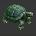 Turtle With Vibrant Blue Green Patterned Shell Crawling On Smooth Dark Surface 3d model