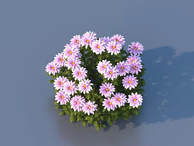 Vibrant Purple And Pink Flowers With Green Leaves In Round Cluster Against Gray Background 3d model