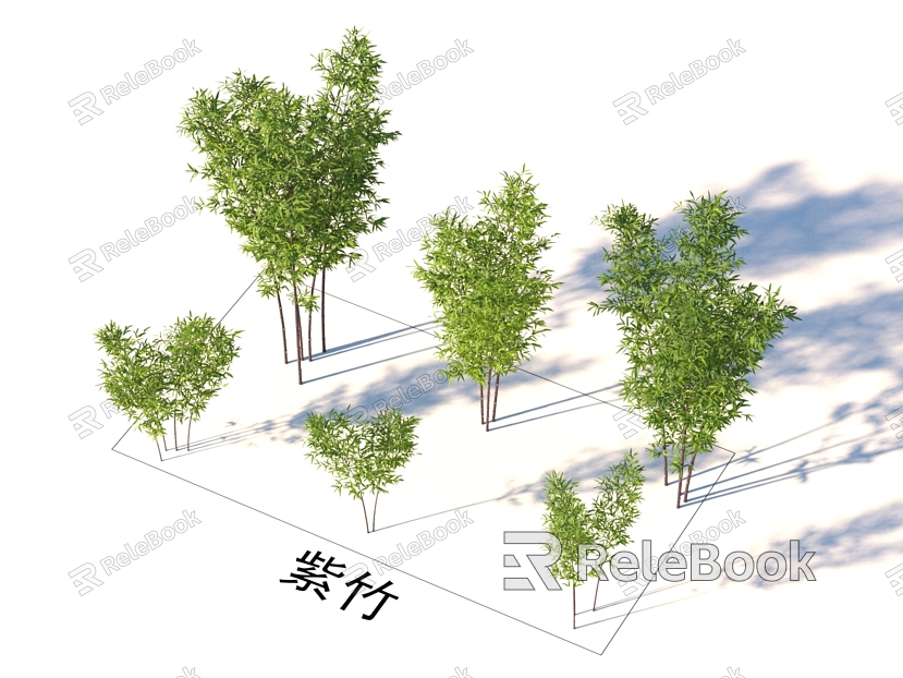 Bamboo plants model