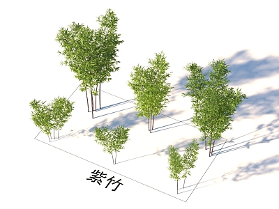 Bamboo plants model