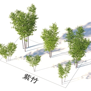 Bamboo plants 3d model