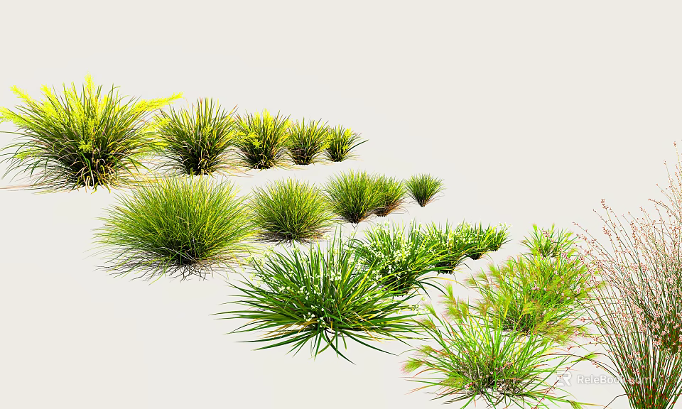 Various Green Grass Plants For Outdoor Landscaping And Garden Design 3d model 