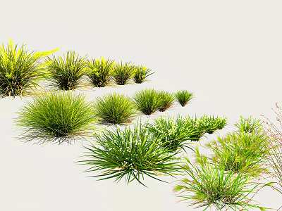 Various Green Grass Plants For Outdoor Landscaping And Garden Design 3d model