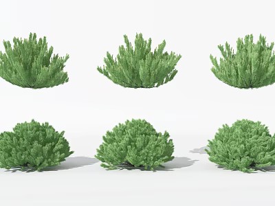 Shrubs 3d model Shrubs 3d model