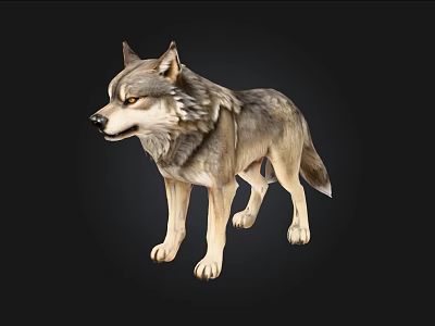Realistic Grey Wolf 3D Model In Standing Pose With Detailed Fur Texture 3d model