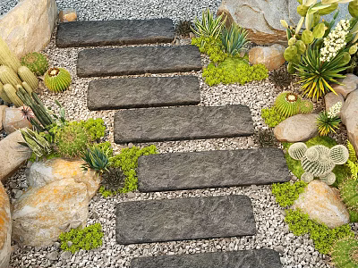 Natural Garden Landscape With Stone Steps Pebbles Cacti Succulents And Mossy Rocks 3d model