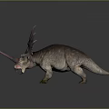 Realistic Triceratops Dinosaur With Multiple Horns Cranial Frill And Textured Skin Standing On Gray Background
