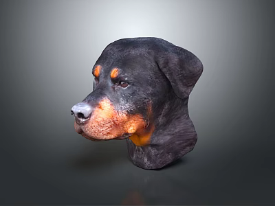 Rottweiler Head Sculpture With Black And Tan Coat On Gray Background 3d model