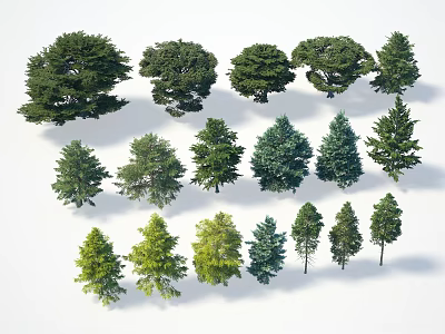 Various Arbor Trees Collection with Different Shapes and Foliage Isolated on White 3d model