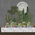 Bonsai Potted Plants With Cacti Succulents And Decorative Marble Base