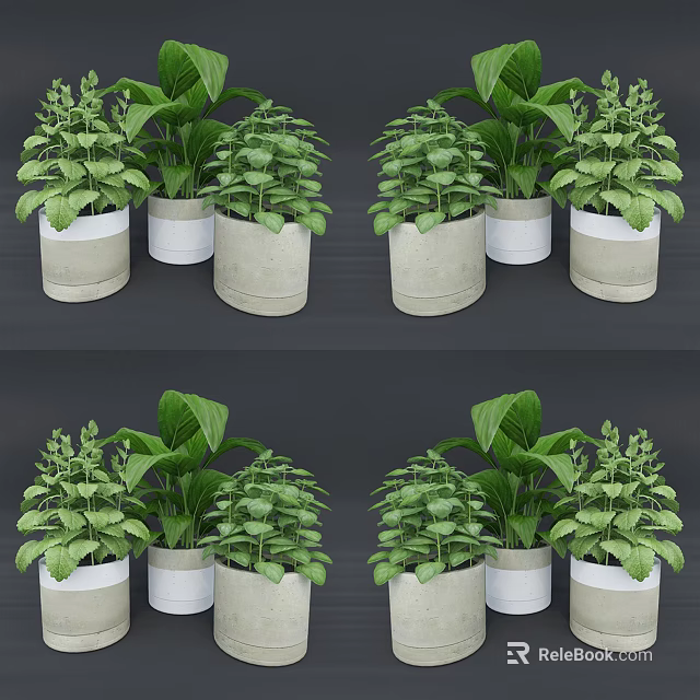 Beautiful Potted Bonsai Plants With Lush Green Leaves In Decorative White And Gray Pots 3d model 