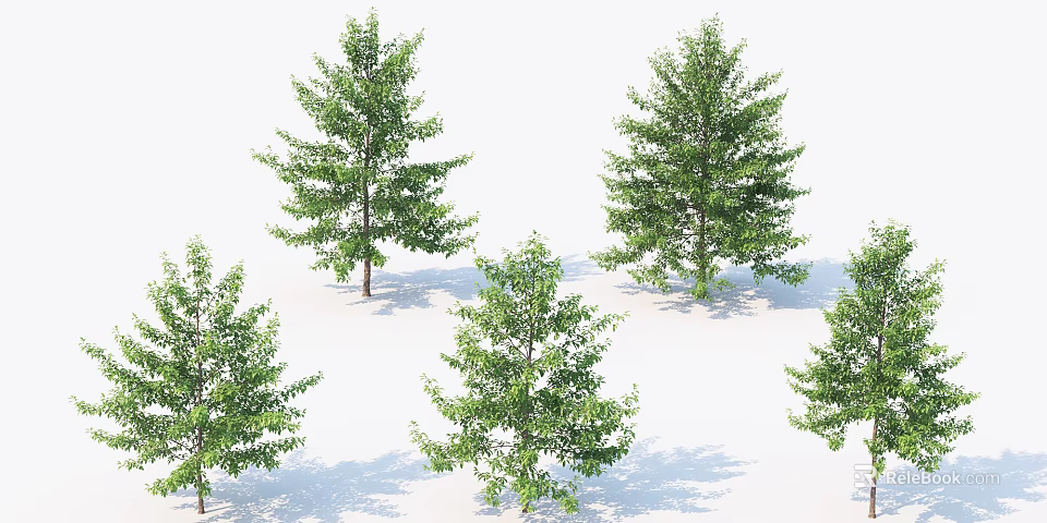 Green Leafy Multiple Tall Trees Arranged Against White Background With Shadows 3d model