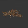 Arbor Tree Roots With Natural Dried Texture And Small Green Shoots