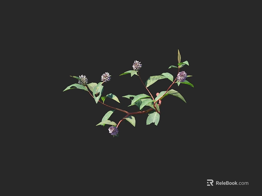 Purple Flowering Plant With Green Leaves And Slender Branches Bearing Multiple Blooms 3d model 