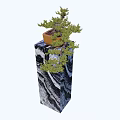 Indoor Decorative Bonsai Plant With Lush Green Foliage On Marble Pedestal