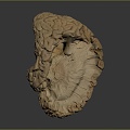 Modern brain Human brain Human brain Brain structure Head structure 3d model