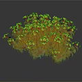 Lush Green Leaf Plant With Bright Yellow Flowers In Full Bloom