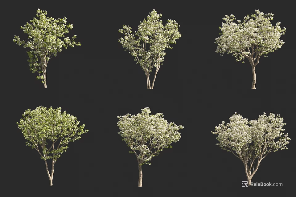 Diverse Collection of Arbor Trees Showcasing Various Foliage and Branch Structures 3d model 