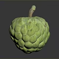 Fresh Ripe Green Custard Apple With Textured Surface And Brown Stem