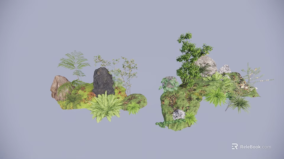 Plant Combination With Rocks Ferns Shrubs And Lush Green Vegetation 3d model 