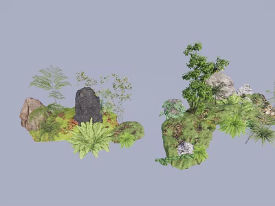 Plant Combination With Rocks Ferns Shrubs And Lush Green Vegetation 3d model