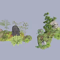 Plant Combination With Rocks Ferns Shrubs And Lush Green Vegetation