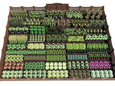 Various Crop Seedlings Neatly Arranged in Wooden Frame with Green and Purple 3d model