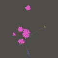 Natural Blooming Trees With Various Sizes Branches And Pink Flowers In Landscape