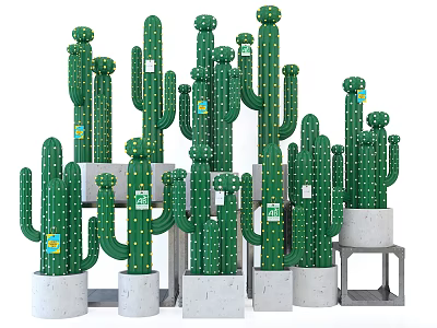 Green Potted Cactus Plants With Various Heights Shapes In Gray Concrete Pots On Shelves 3d model