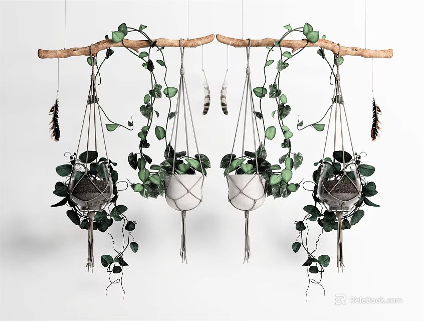 Lush Green Macramé Hanging Plants Suspended On Wooden Rod With Foliage 3d model 