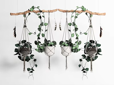 Lush Green Macramé Hanging Plants Suspended On Wooden Rod With Foliage 3d model