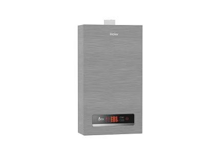 Efficient Haier Silver Shower Sauna Water Heater With Temperature 3d model