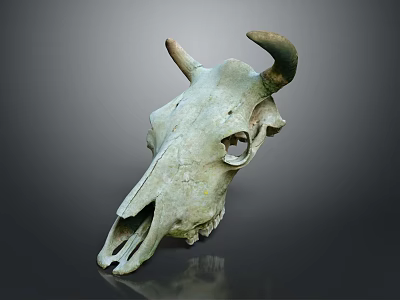 Veterinary Medical Device Animal Skull Model With Horns And Greenish Color 3d model