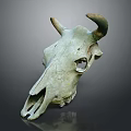 Veterinary Medical Device Animal Skull Model With Horns And Greenish Color