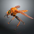 Mosquito Cartoon Mosquito Cartoon Insect Monster Monster Cartoon Monster Monster Cartoon Monster 3d model