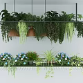 Modern Hanging Planter Chandelier With Lush Green Plants For Interior Decoration