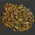 Organic Yellow Vegetable with Cluster of Vibrant Petal Like Segments and Fresh Texture