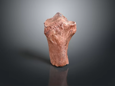 Natural Red Wooden Stump Ornament With Textured Surface For Home Living Space 3d model