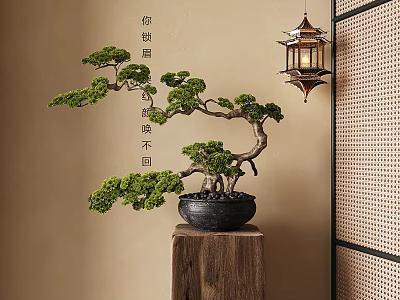 Bonsai Plant on Wooden Stand with Hanging Lantern and Calligraphy Wall 3d model