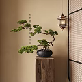 Bonsai Plant on Wooden Stand with Hanging Lantern and Calligraphy Wall
