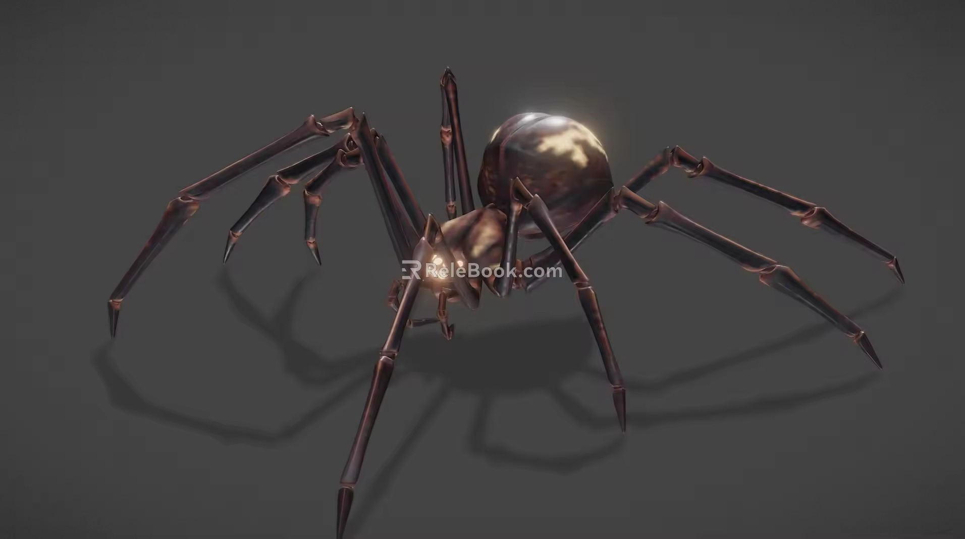 spider insect model 3d model