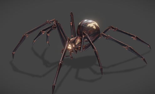 spider insect model 3d model