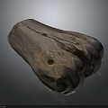 Biological Organ With Hair Featuring Rough Textured Surface And Natural Structure Details