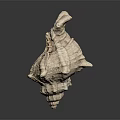 Sea Snail With White Shell Featuring Irregular Textured Protrusions On Dark Background 3d model