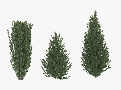 plant big tree 3d model