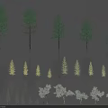 Various Arbor Trees Showcasing Different Sizes Diverse Forms And Green Yellow Gray Foliage 3d model