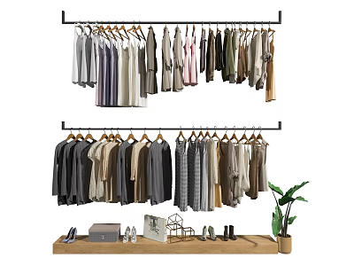 Stylish Hanging Clothes on Racks with Wooden Shelf Shoes Decorations and Potted Plant 3d model