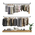 Stylish Hanging Clothes on Racks with Wooden Shelf Shoes Decorations and Potted Plant