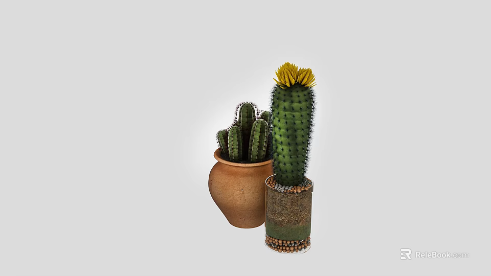 Modern Cactus Decor Set with Terracotta and Decorative Cylindrical Pots Featuring Yellow Flowers 3d model 